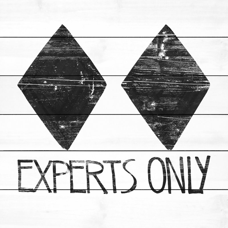 Experts seulement-impression d’art textuel sur bois, H 18 po x l 18 po