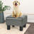 Okan Faux Leather Ottoman-1230135735