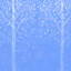 Arbres dorés sur couvertures noires-124116186-135855760