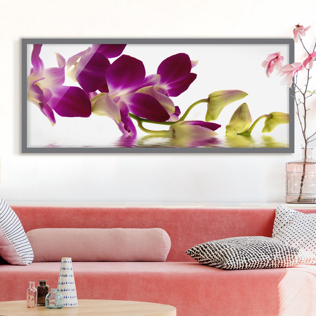 Gerahmtes Poster Pink Orchid Waters