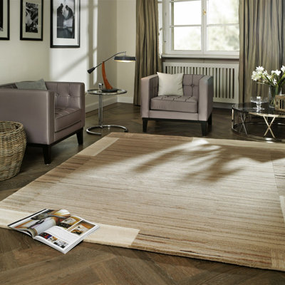 Wool Hand Knotted Area Rug