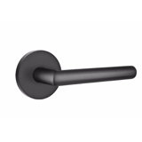 Privacy Consealed Fastener Stuttgart Lever with Disk Rosette