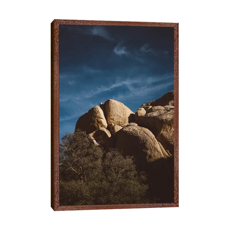 Joshua Tree National Park XIII by Bethany Young - Print on Canvas, 66.04cm H x 45.72cm W x 3.81cm D