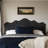 Arhaan Paskett Modern And Contemporary Headboard-1949716101-1949716094