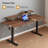 Height Adjustable Standing Desk With Monitor Stand and 2 Adjustable Monitor Shelves-1397682416-1396751254