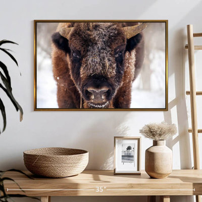 Frosty Bison