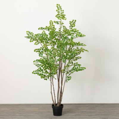 Hatherleigh 73'' Faux Fern Tree in Planter