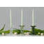 Glass Scalloped Candlesticks-755868917