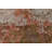 Tashunda Wool Oriental Indoor Rug