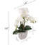 Orchidée phalaenopsis blanche de 19 po - fleurs en pot blanc