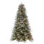 Douglas 10' H Lighted Artificial Fir Christmas Tree
