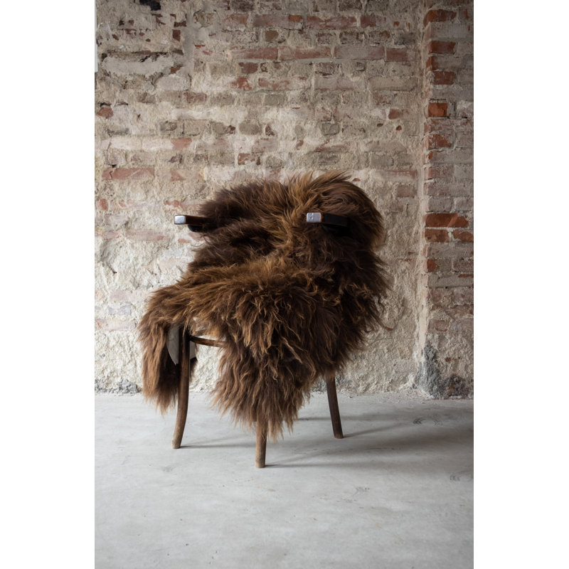 Alfredrick Solid Colour Sheepskin Hand Woven 70cm X 105cm Area Rug