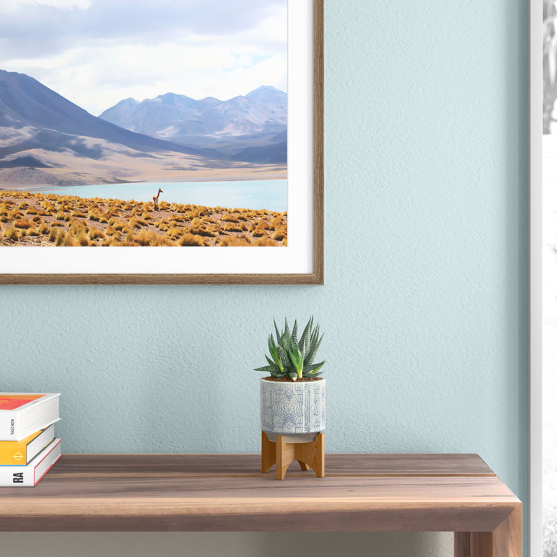 Pot Planter