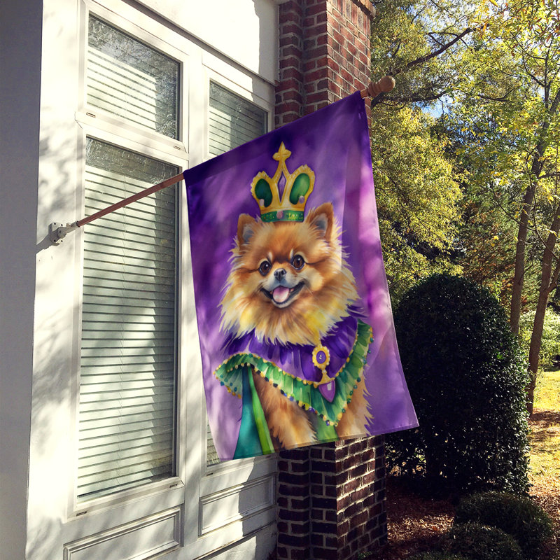 Double Sided 40'' H x 28'' W Polyester Mardi Gras House Flag