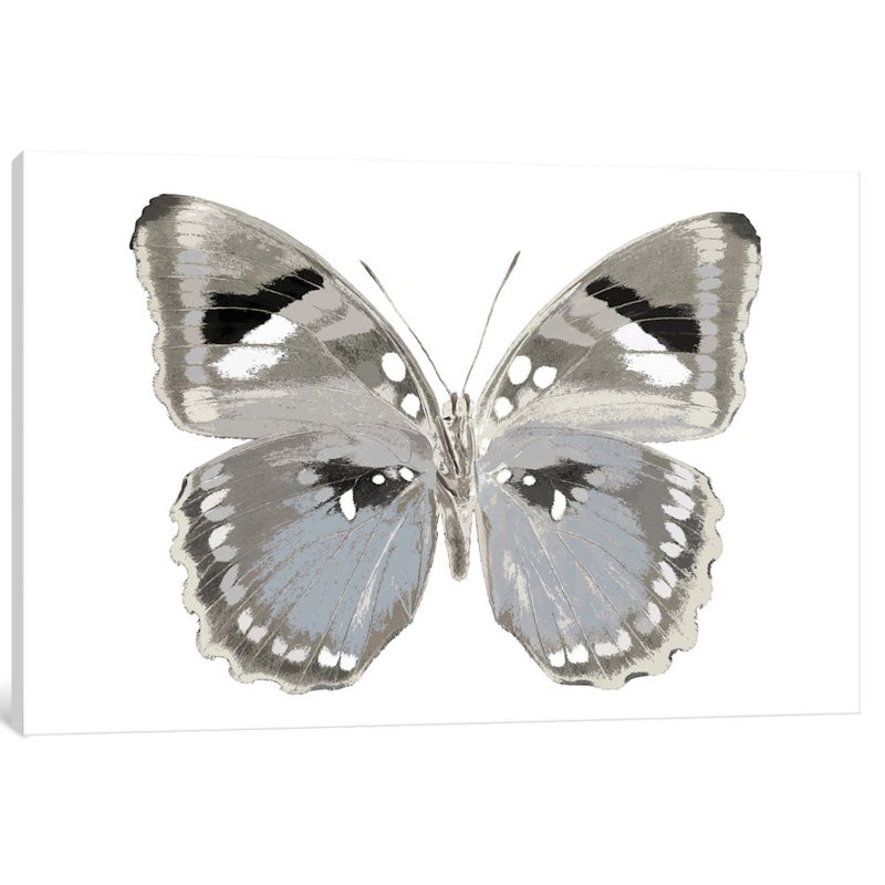 «Butterfly in Gray II», reproduction d'art sur toile, H 12 po x l 18 po x P 1,5 po