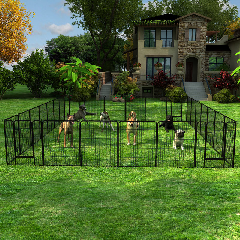 31.7'' H Panel Metal Exercise Pen With Door