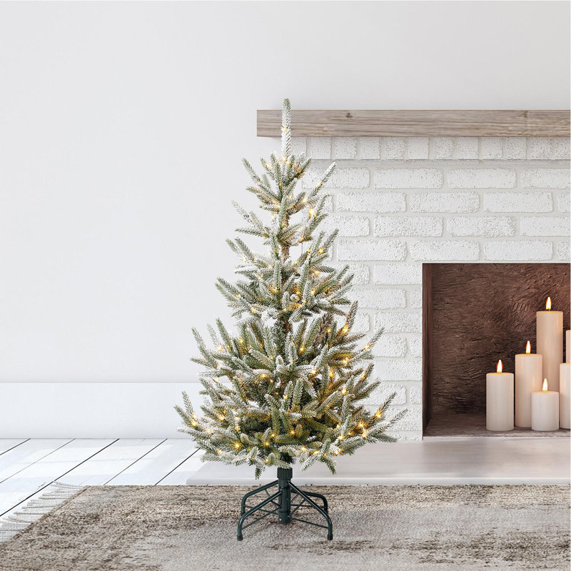  Classics Snowy Abies Pine 4 Foot Prelit Artificial Christmas Tree