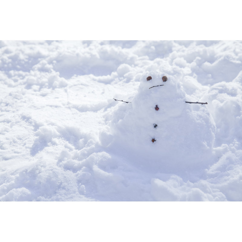 Snow Creation - Wrapped Canvas Print, 30cm H x 46cm W x 3.8cm D