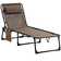 Aidean Outdoor Metal Chaise Lounge