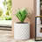 Mgo Planter