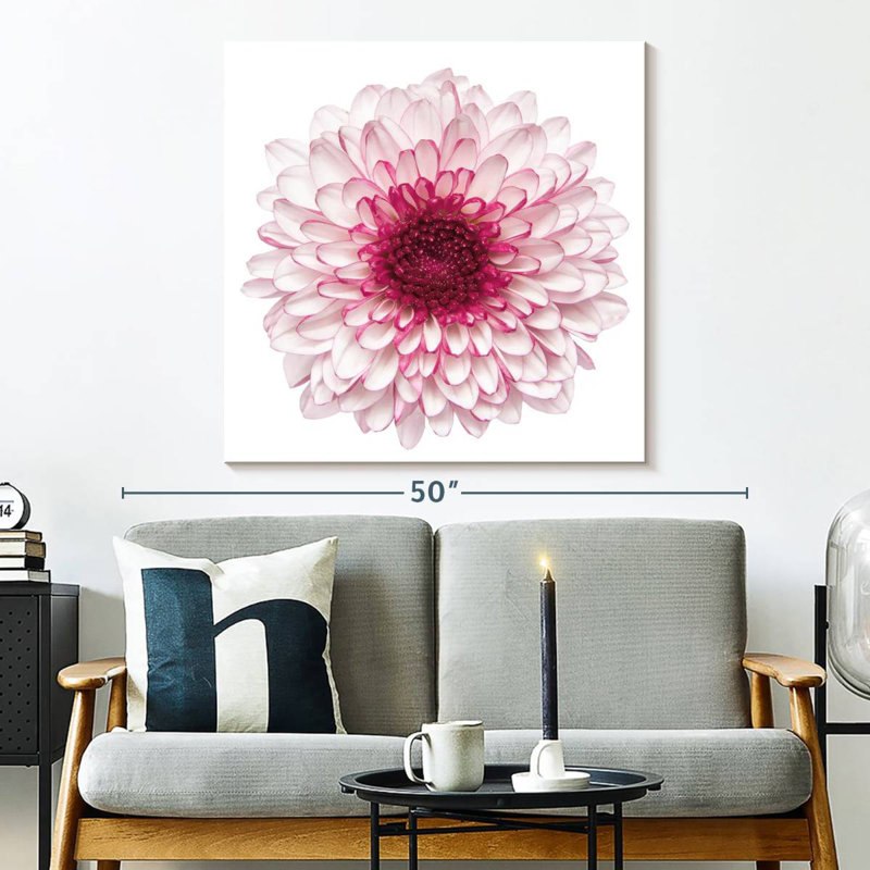 Harnek Pink Chrysanthemum, 33" H x 33" W