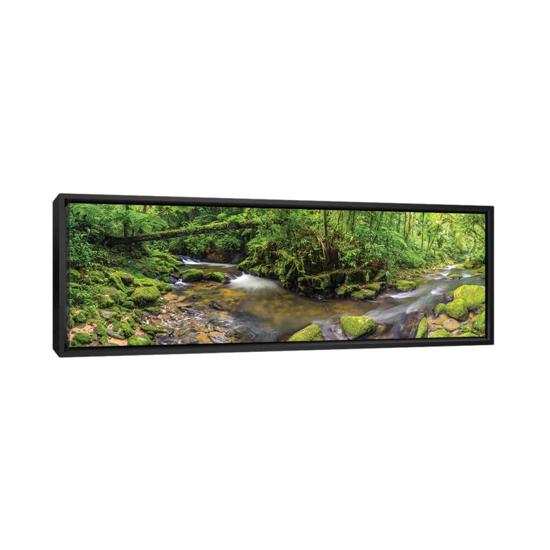 Jungle Panorama I 1 Piece Wall Art on Canvas, 121.92 cm H x 40.64 cm W, Black Floater Frame