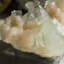 Atiyanna Gemmy Apophyllite & Stilbite avec Scolecite