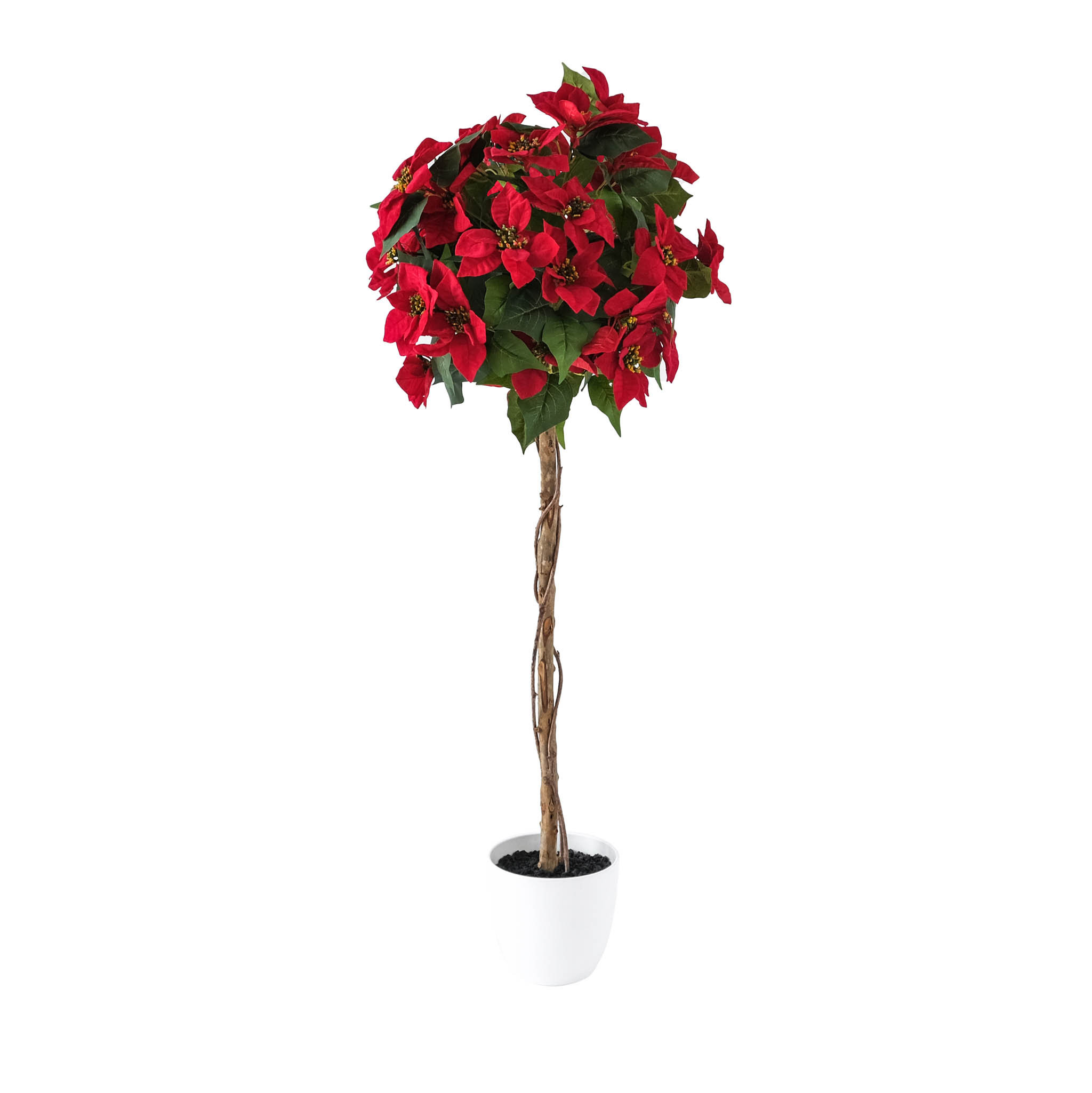 Primrue Primrue Arbre à poinsettias, 59 po - Wayfair Canada