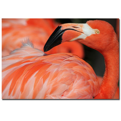 Patty Tuggle - Photograph on Canvas