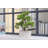 2-pack 14” Faux Bonsai Trees With Real Touch Leaves, In A Modern Geometric Ceramic Vase