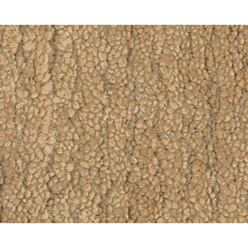 Sprouts Wool Area Rug in Beige, Rectangle 2' x 3'