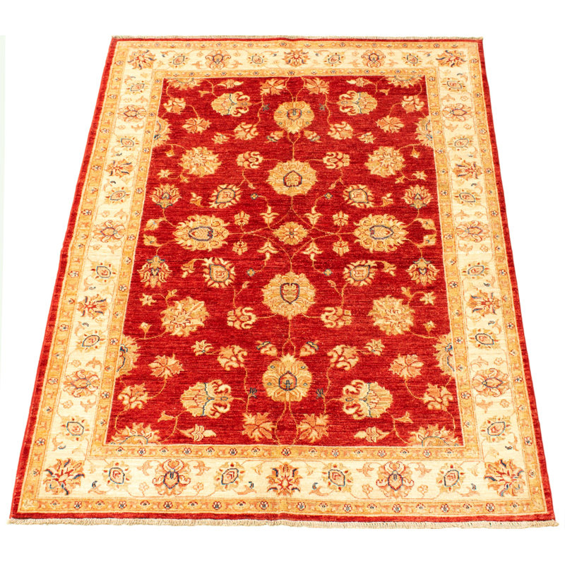 Tapis unique en laine noué à la main 4 pi 11 po x 6 pi 10 po nouvel âge Haille