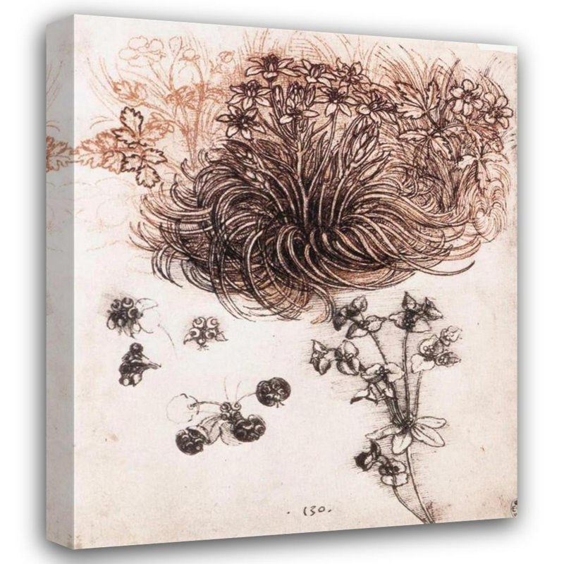 Étoile de Bethléem et autres plantes, H 24 po x l 20 po