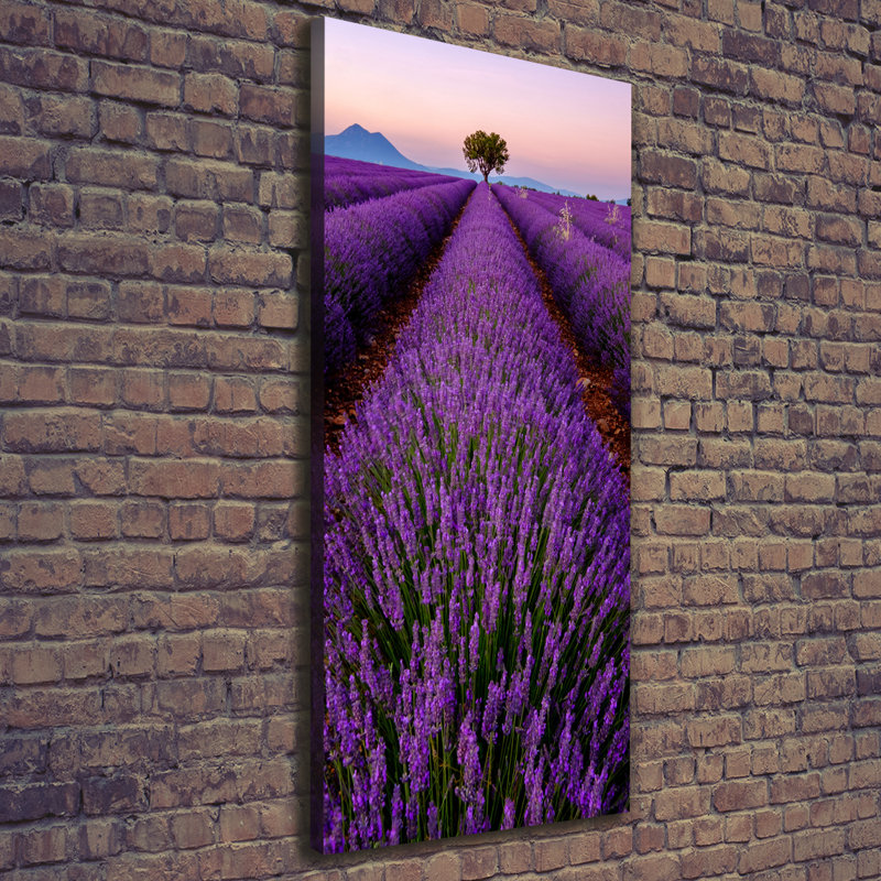 Lavender Field - Wrapped Canvas Print