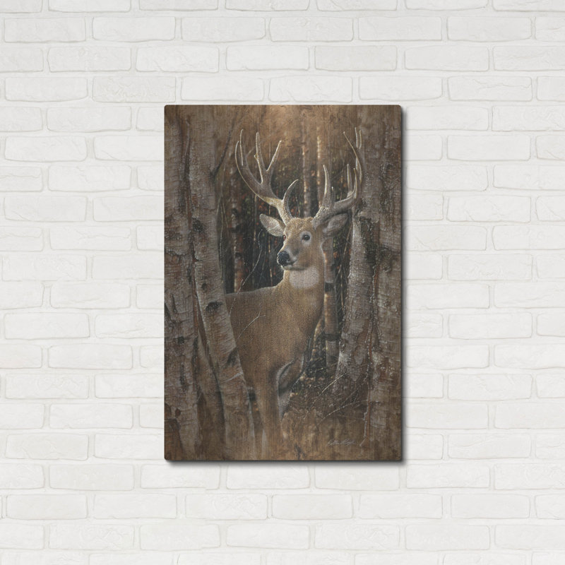 «Birchwood Buck» par Collin Bogle, H 36 po x l 24 po