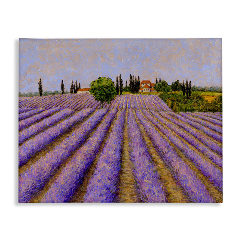 Toile de champs de lavande, par Tim Coffey, H 16 po x l 20 po