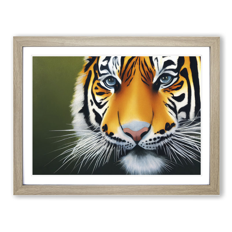 Amazing Tiger - Framed Print, 46cm H x 64cm W x 2cm D, Oak Framed