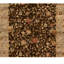 Floral Area Rug