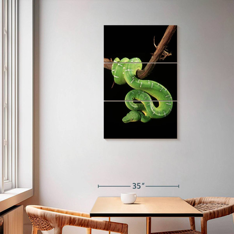 Brampt Hanging Emerald Tree Snake, 57" H x 36" W