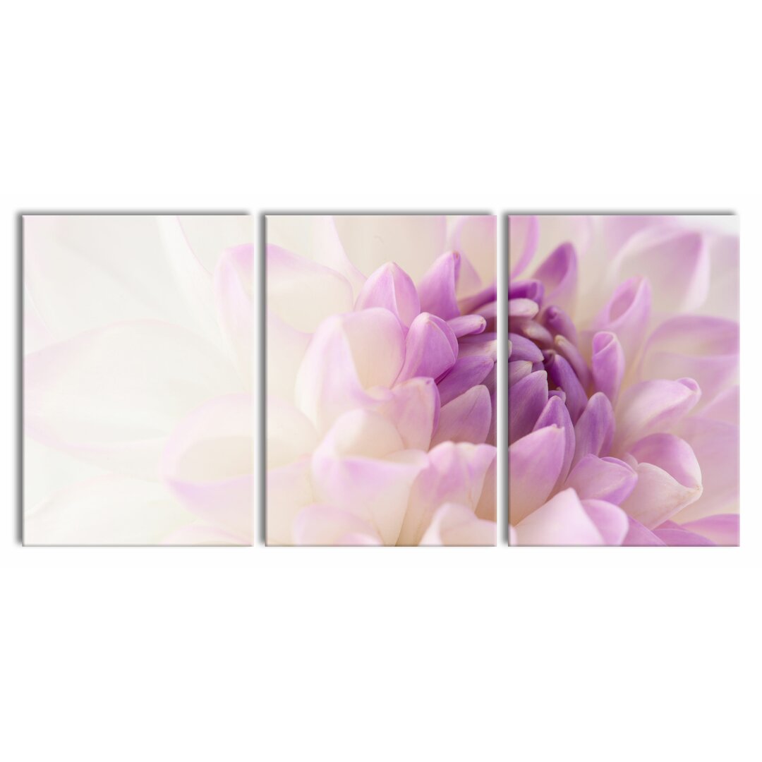 3-tlg. Leinwandbilder-Set Fabulous Purple White Flower