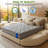 12'' Medium Luxury Hybrid Queen Mattress -914705182-906316616