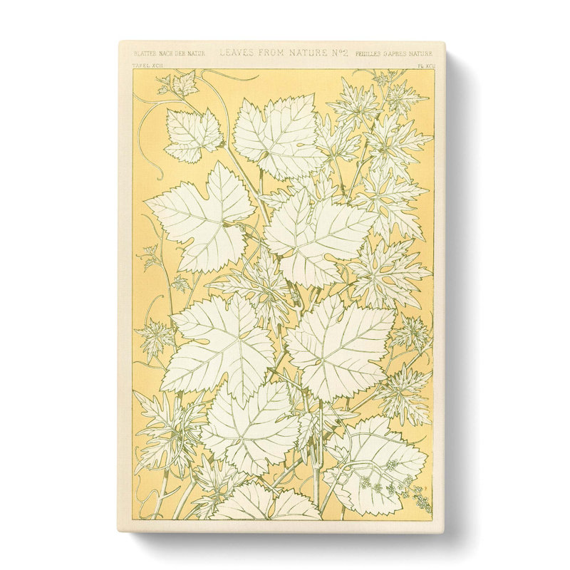 Leaves from Nature No.2 by Owen Jones - Wrapped Canvas Painting Print, 50cm H x 35cm W x 3cm D