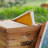 Beekeeping Beehive Accessory-98579013