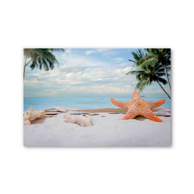 Étoile de mer, décoration murale suspendue en acrylique, H 24 po x l 36 po x P 1 po