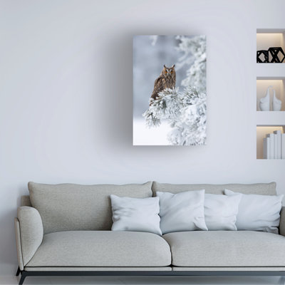 Milan Zygmunt Long Eared Owl Canvas Art