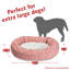Charlie et Sherpa Bagel Donut-35291501-35291502