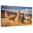 Andes Alpacas-589023263