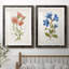 «Botanical I», ensemble de 2 reproductions d'art-271774487-271774477-271774448