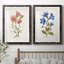 Botanical I - 2 Piece Print-271774477-271774448-271774445