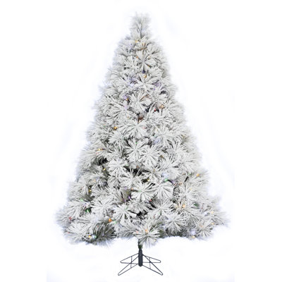Lighted Pine Christmas Tree